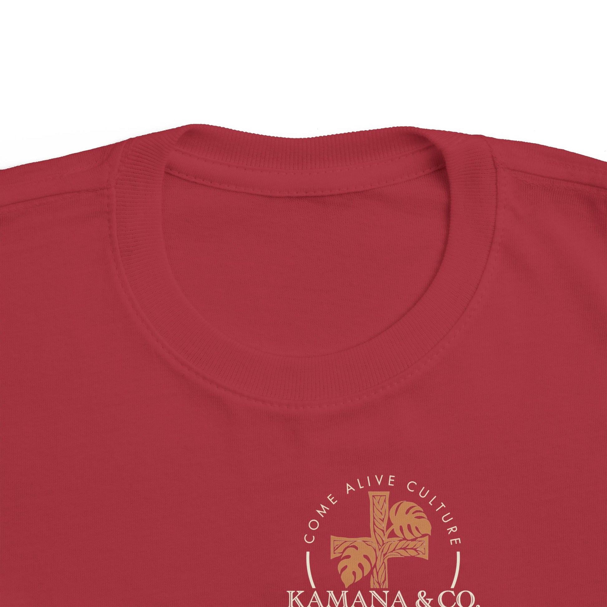 Rooted in Christ | Toddler